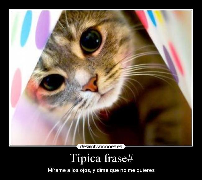 Típica frase# - Mírame a los ojos, y dime que no me quieres