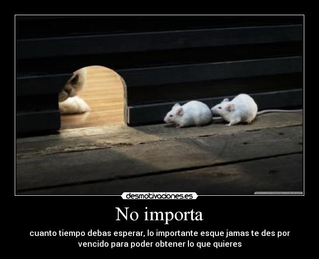 No importa - cuanto tiempo debas esperar, lo importante esque jamas te des por
vencido para poder obtener lo que quieres