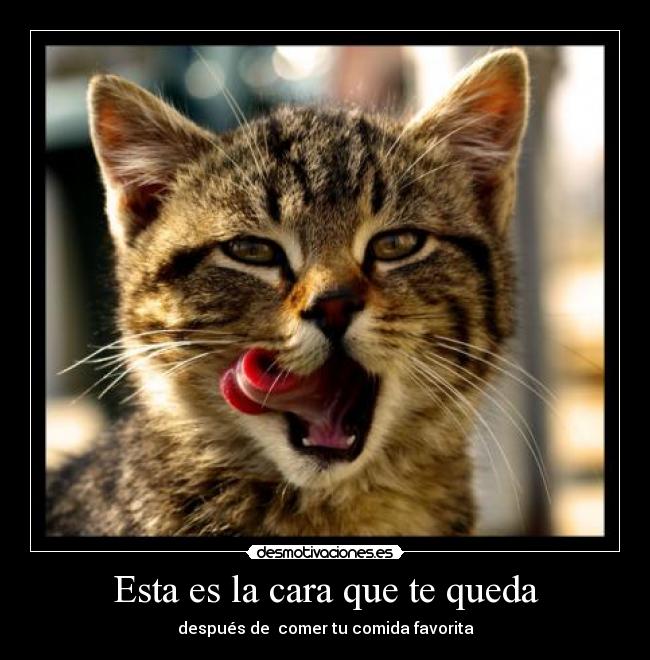 Esta es la cara que te queda -