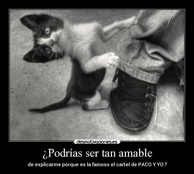 ¿Podrías ser tan amable - de explicarme porque es la famoso el cartel de PACO Y YO ?