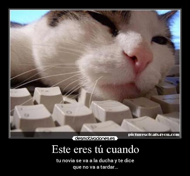Este eres tú cuando - tu novia se va a la ducha y te dice
que no va a tardar...