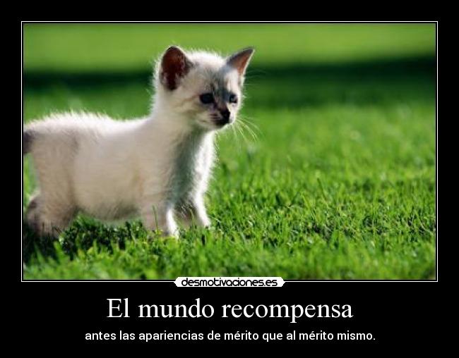 carteles mundo frase frances gilipollas desmotivaciones