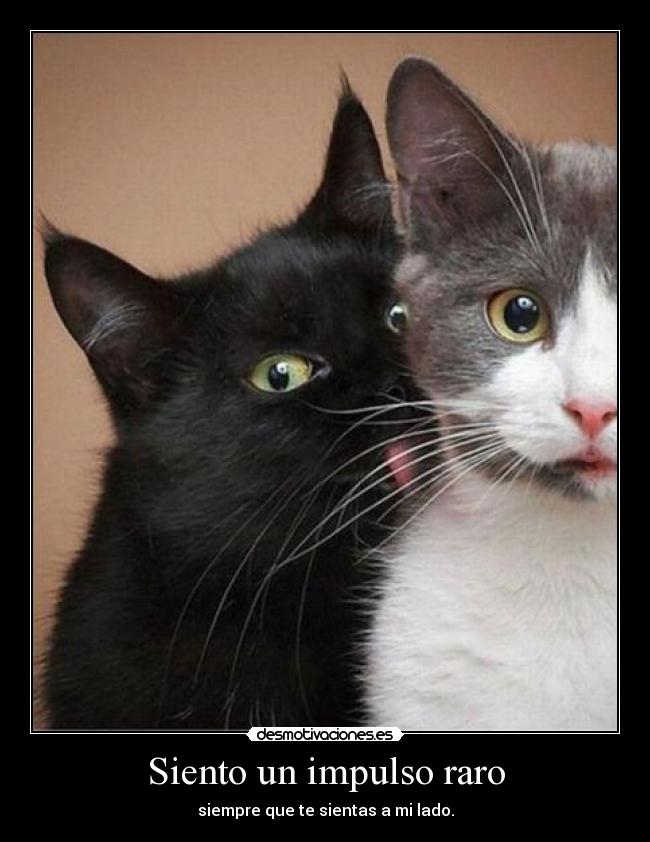 Siento un impulso raro - siempre que te sientas a mi lado.