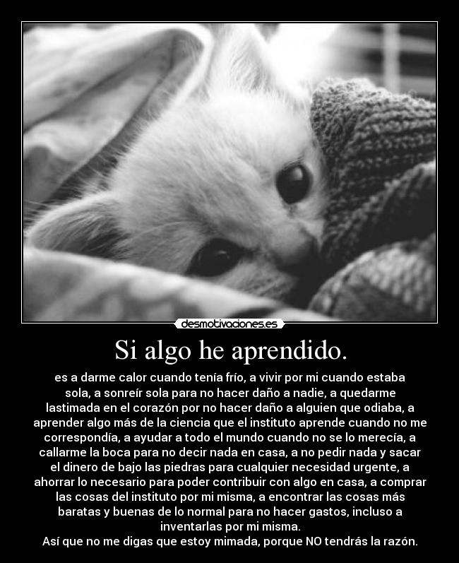 carteles sabes desmotivaciones