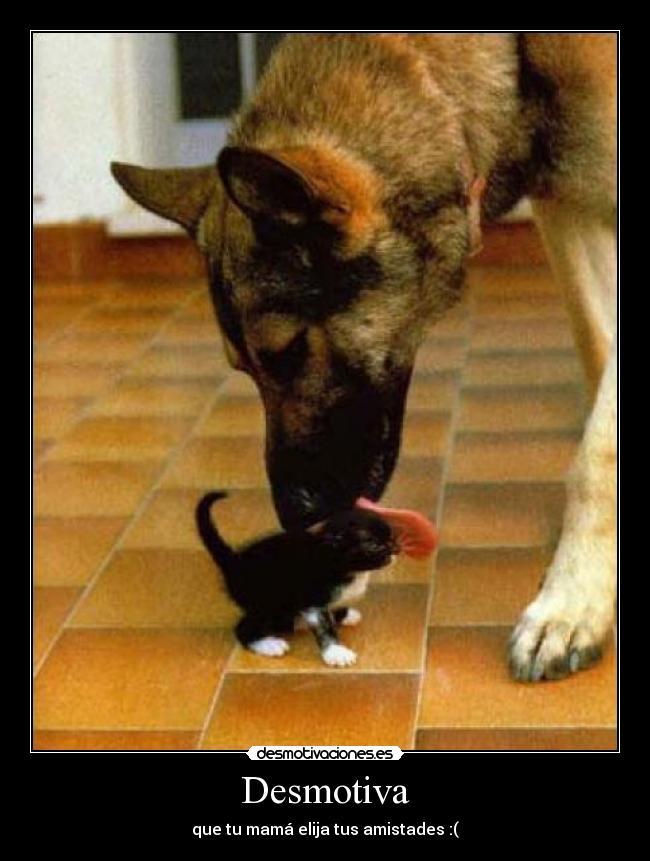 carteles desmotiva desmotivaciones