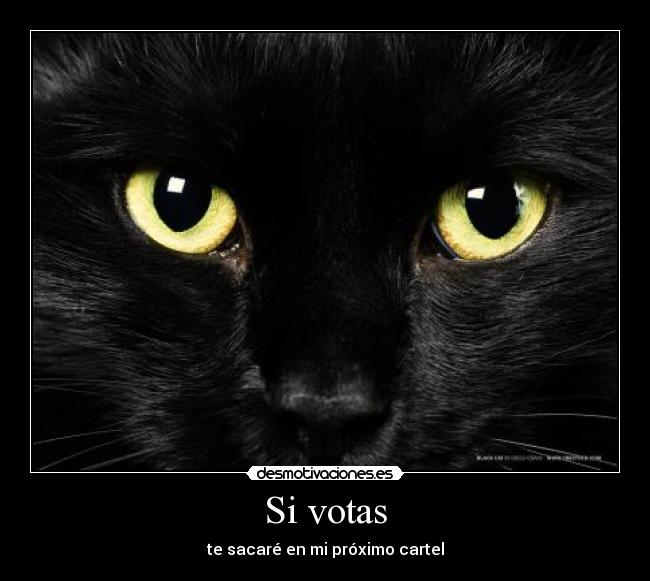 Si votas -