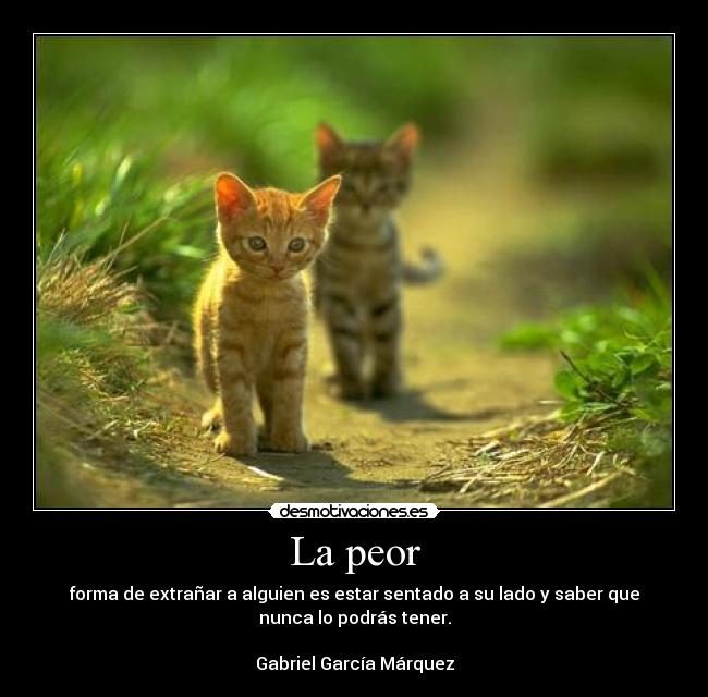 La peor - forma de extrañar a alguien es estar sentado a su lado y saber que
nunca lo podrás tener.
Gabriel García Márquez