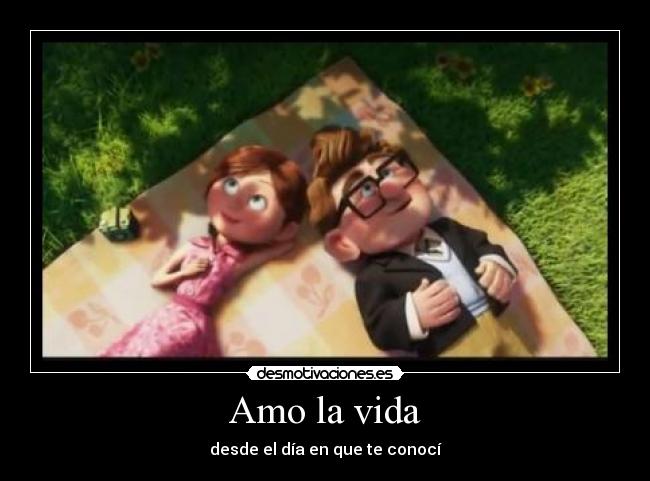 Amo la vida -