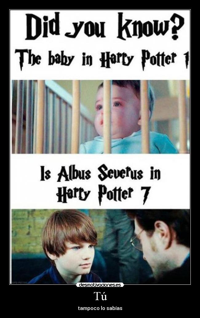 Tú - tampoco lo sabías