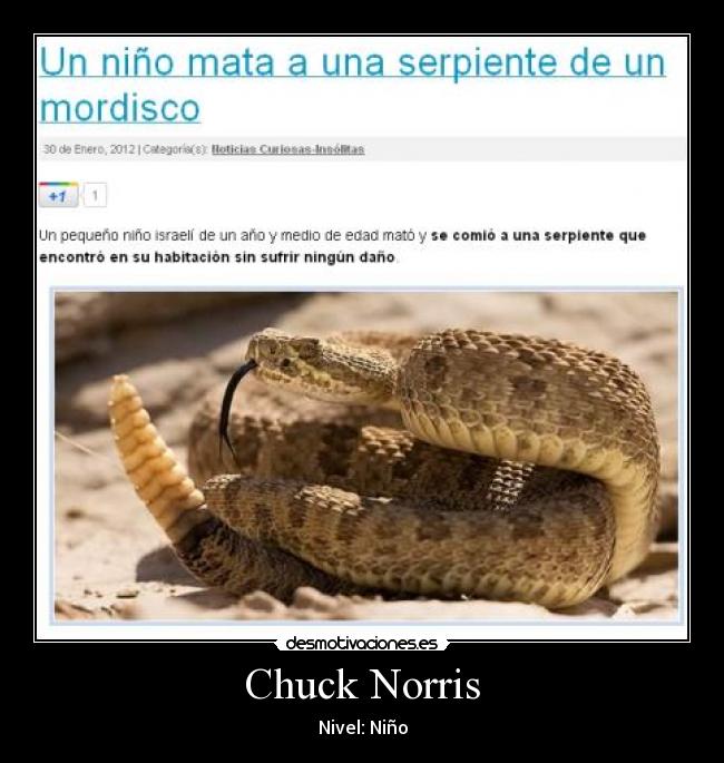Chuck Norris -