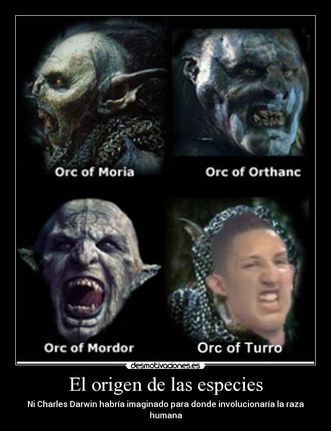 El origen de las especies - 