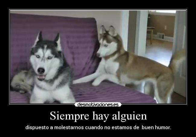 Siempre hay alguien - dispuesto a molestarnos cuando no estamos de buen humor.