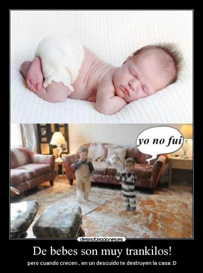 De bebes son muy trankilos! - pero cuando crecen , en un descuido te destruyen la casa :D