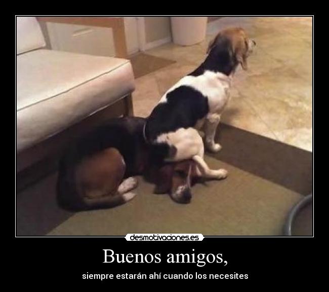 Buenos amigos, -