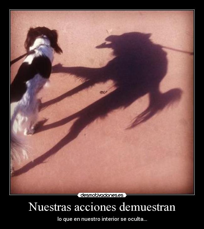 Nuestras acciones demuestran -