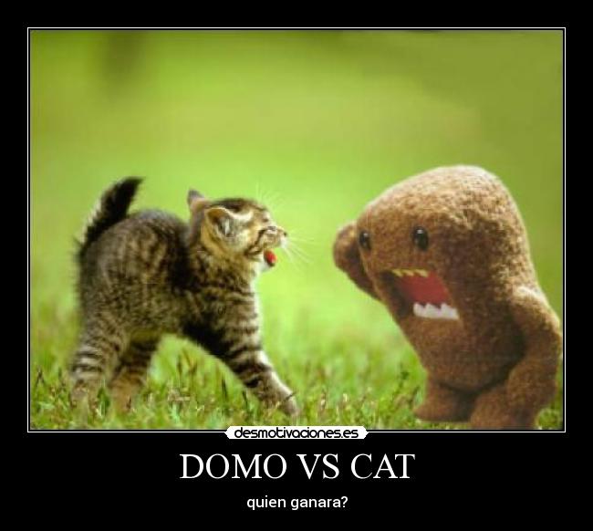 domo vs cat desmotivaciones
