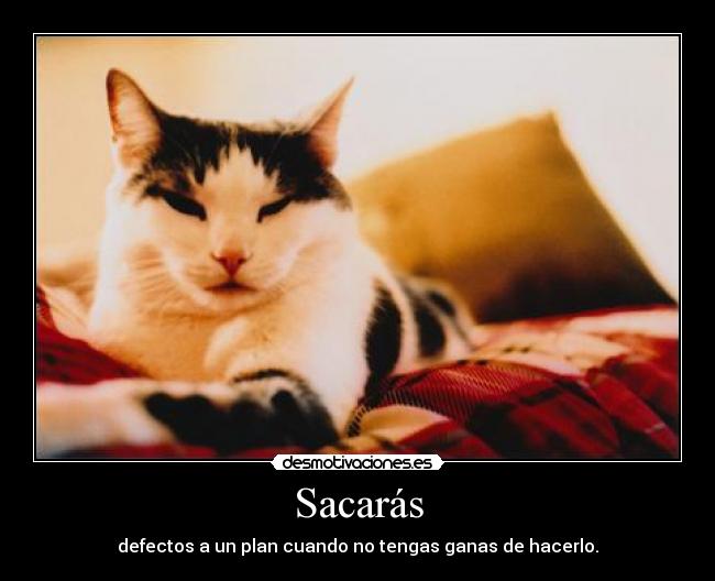 Sacarás - 