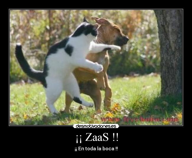 ¡¡ ZaaS !! -