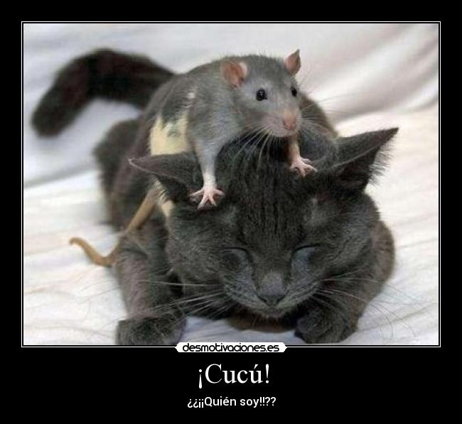 ¡Cucú! - ¿¿¡¡Quién soy!!??