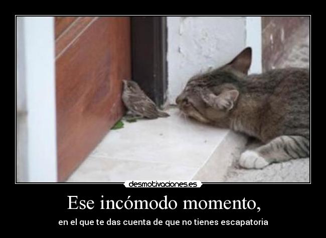 Ese incómodo momento, -