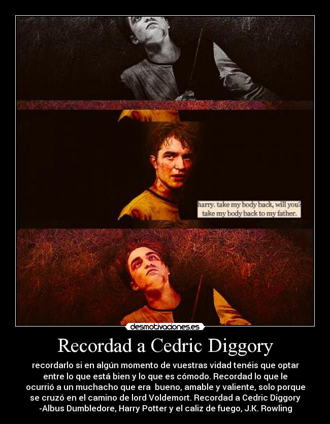 Recordad a Cedric Diggory - recordarlo si en algún momento de vuestras vidad tenéis que optar
entre lo que está bien y lo que es cómodo. Recordad lo que le
ocurrió a un muchacho que era bueno, amable y valiente, solo porque
se cruzó en el camino de lord Voldemort. Recordad a Cedric Diggory
-Albus Dumbledore, Harry Potter y el caliz de fuego, J.K. Rowling