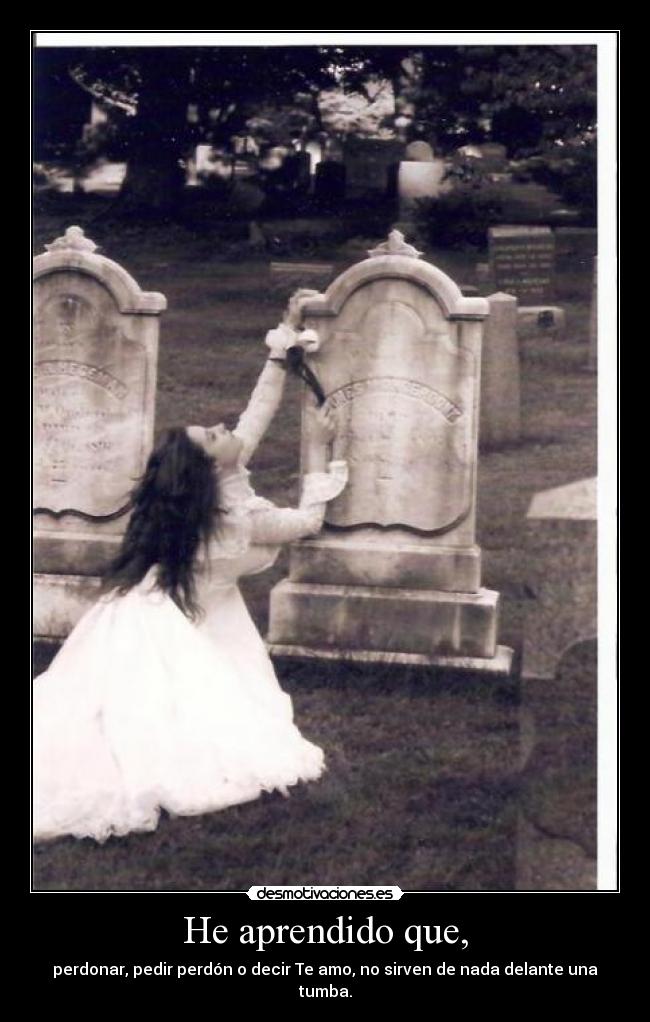 carteles aprendido desmotivaciones