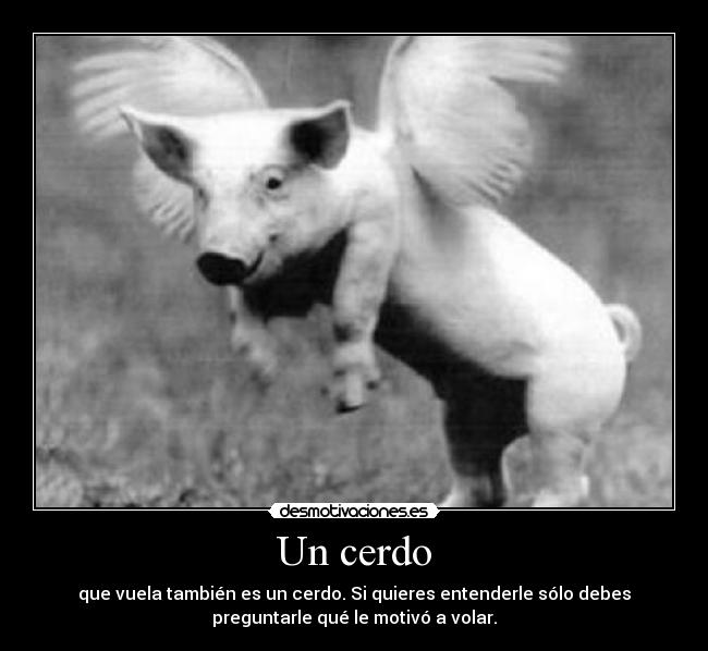 Un cerdo - 