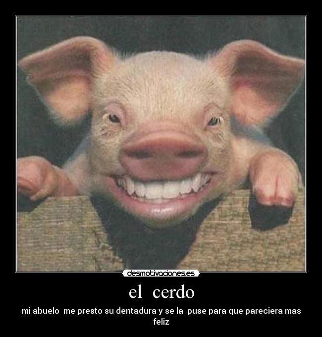 el  cerdo - mi abuelo  me presto su dentadura y se la  puse para que pareciera mas feliz