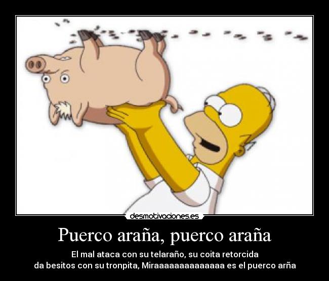 Puerco araña, puerco araña - El mal ataca con su telaraño, su coita retorcida
da besitos con su tronpita, Miraaaaaaaaaaaaaa es el puerco arña