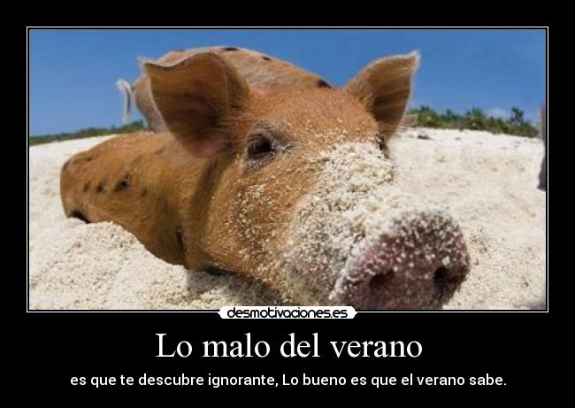 Lo malo del verano - es que te descubre ignorante, Lo bueno es que el verano sabe.