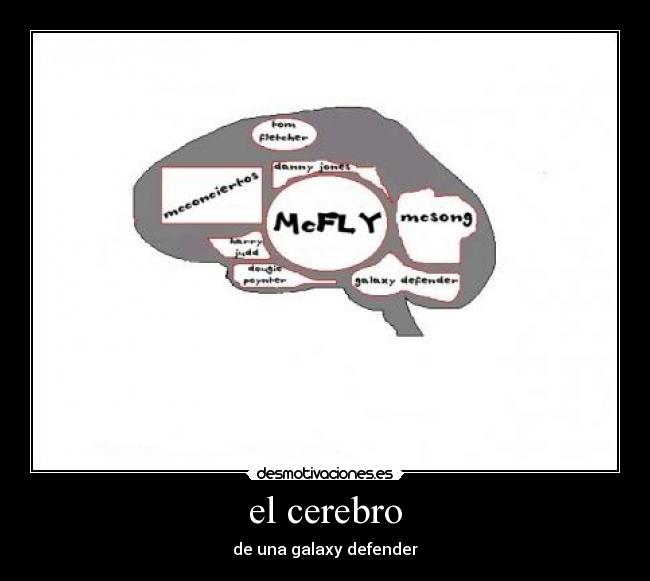 el cerebro -