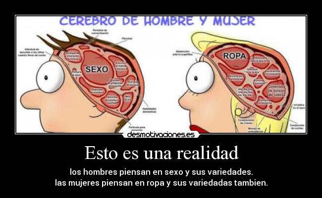 Esto es una realidad -
