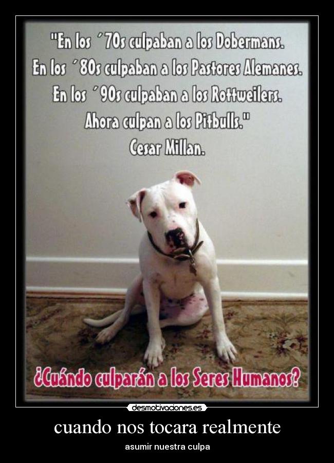 cuando nos tocara realmente - asumir nuestra culpa