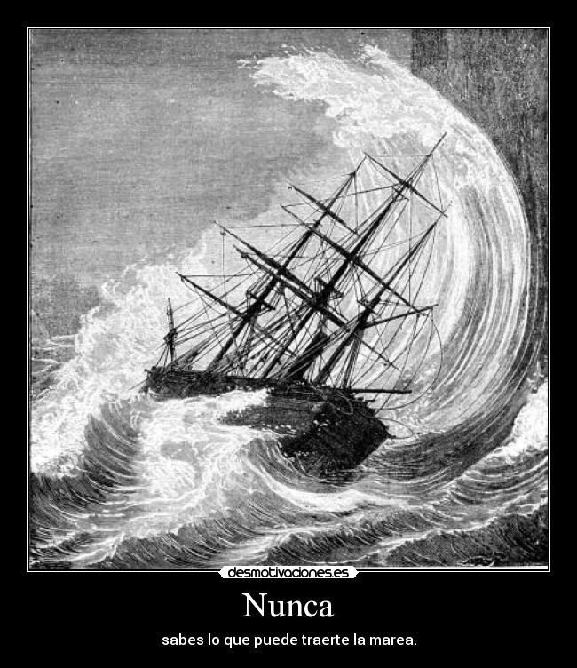 Nunca - sabes lo que puede traerte la marea.