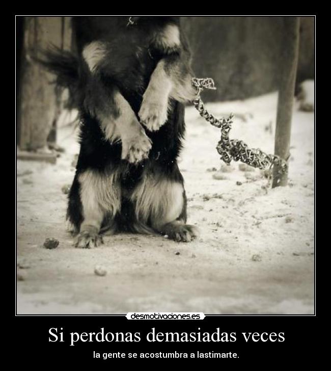 Si perdonas demasiadas veces - 