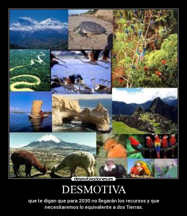 DESMOTIVA -