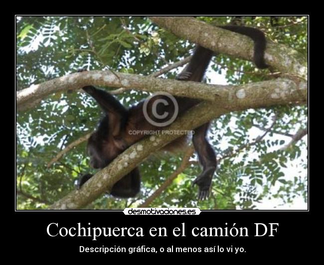 carteles andysam8 desmotivaciones