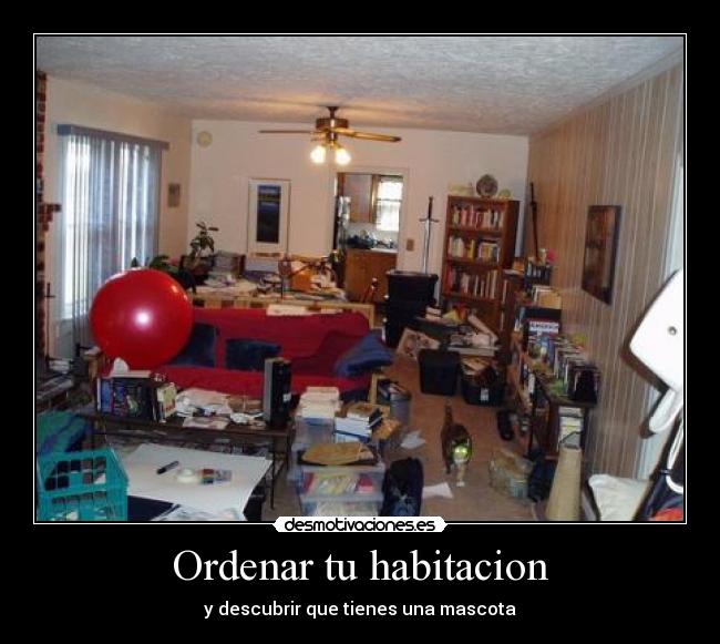 Ordenar tu habitacion - y descubrir que tienes una mascota