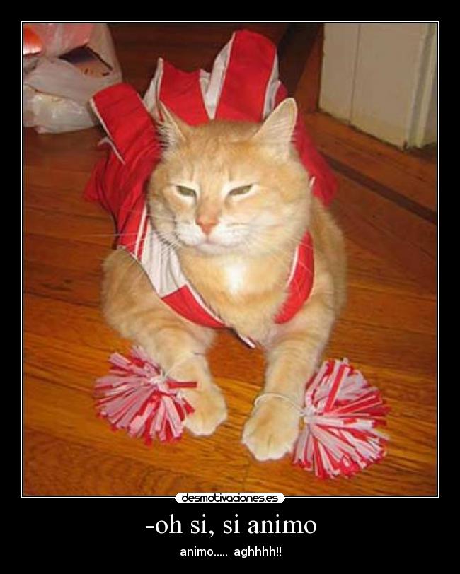 -oh si, si animo - animo..... aghhhh!!