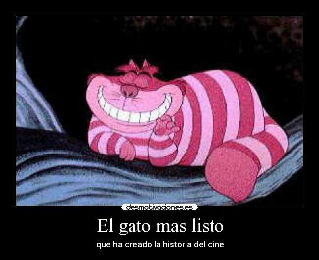El gato mas listo -