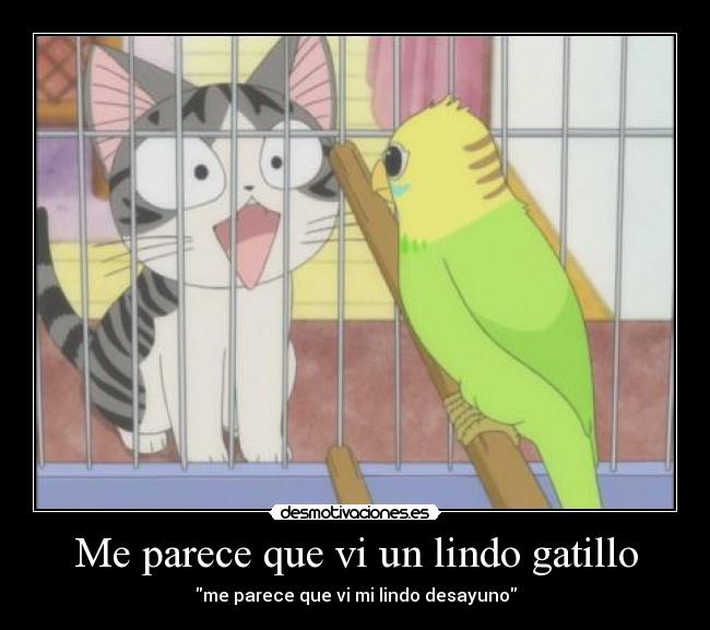 Me parece que vi un lindo gatillo - 