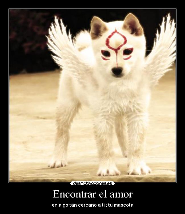 carteles amor mascotas desmotivaciones