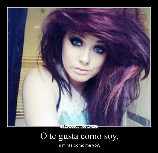 carteles bye desmotivaciones