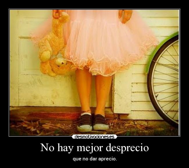 No hay mejor desprecio -
