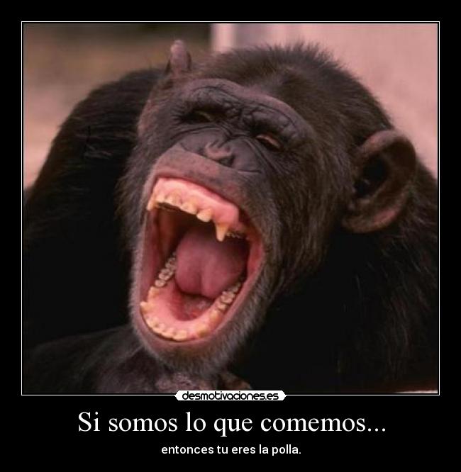 Si somos lo que comemos... - entonces tu eres la polla.