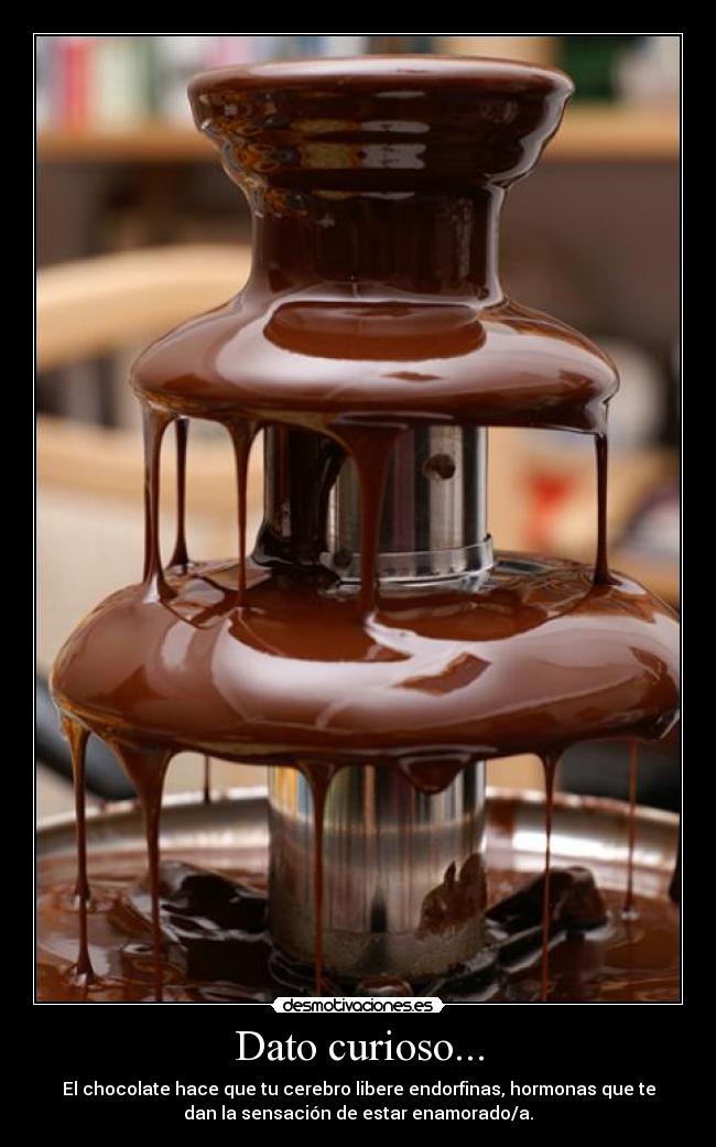 Dato curioso... - El chocolate hace que tu cerebro libere endorfinas, hormonas que te
dan la sensación de estar enamorado/a.
