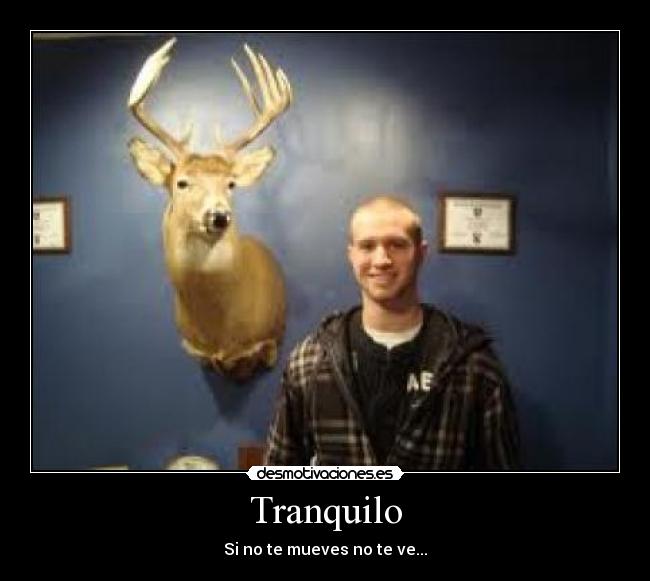 Tranquilo -
