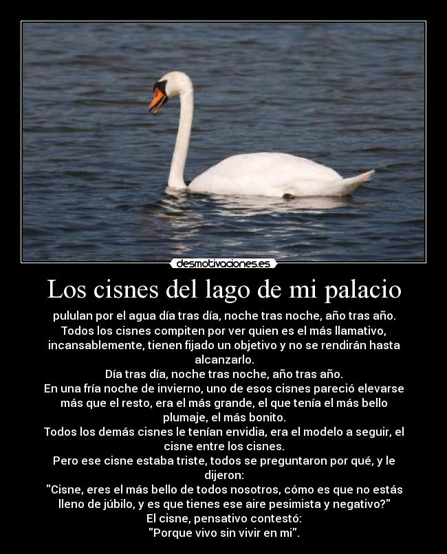 Los cisnes del lago de mi palacio - pululan por el agua día tras día, noche tras noche, año tras año.
Todos los cisnes compiten por ver quien es el más llamativo,
incansablemente, tienen fijado un objetivo y no se rendirán hasta
alcanzarlo.
Día tras día, noche tras noche, año tras año.
En una fría noche de invierno, uno de esos cisnes pareció elevarse
más que el resto, era el más grande, el que tenía el más bello
plumaje, el más bonito.
Todos los demás cisnes le tenían envidia, era el modelo a seguir, el
cisne entre los cisnes.
Pero ese cisne estaba triste, todos se preguntaron por qué, y le
dijeron:
Cisne, eres el más bello de todos nosotros, cómo es que no estás
lleno de júbilo, y es que tienes ese aire pesimista y negativo?
El cisne, pensativo contestó:
Porque vivo sin vivir en mi.