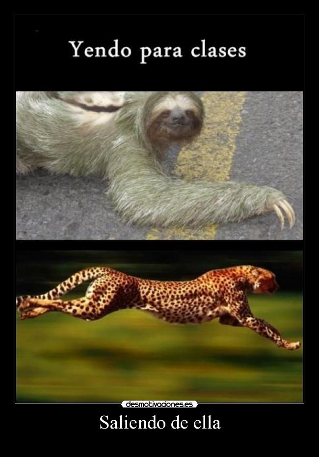 carteles 9gag sonar unica manera ver volar paz sobre tierra jamas podran poner barreras desmotivaciones