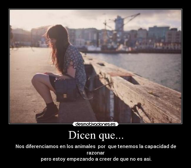 Dicen que... -